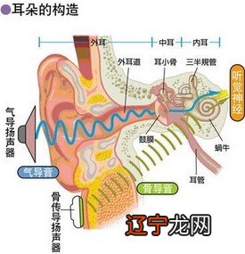 跳眼皮占卜