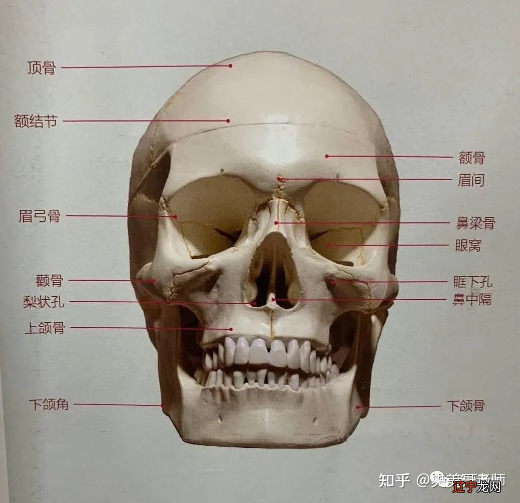 骨相学书籍_冶疗骨病的古书籍_袁天罡称骨算命书籍