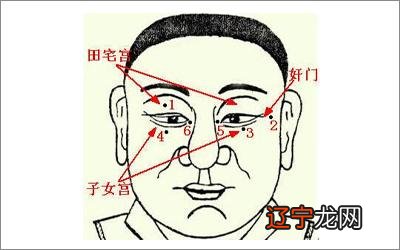 长眉毛一二根者，贵格，有一根眉毛特别长是什么？