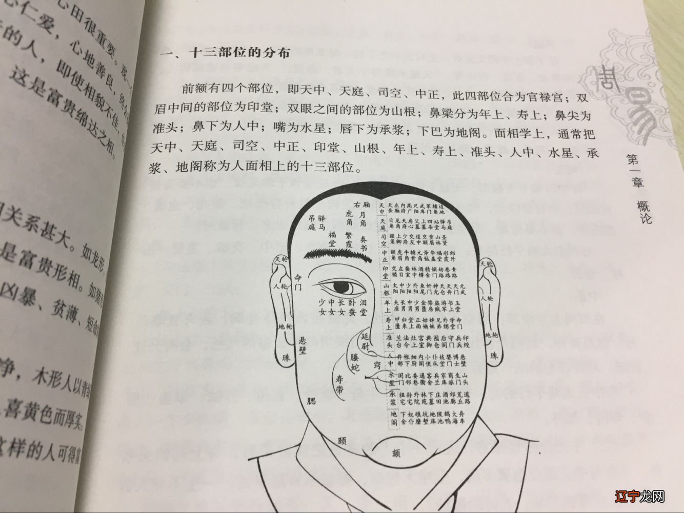 算命看相学什么书_相学哪本书最好_高起本好还是专起本好