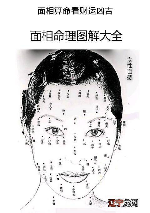 两学一做,学是_面相学是真的吗_头尖的人是上等面相