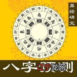 周易免费阴历八字合婚_夫妻八字配对历八字合婚免费测试_周易八字合婚免费测试