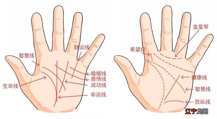 川手掌纹路看命运图_手掌纹路看运势_手掌纹路算命手纹算命图解