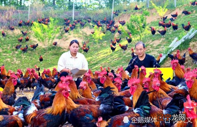 韩国女子组合遇车祸两损命2 命_哪日出生的女人凤凰命_凤凰命的女人百年难遇