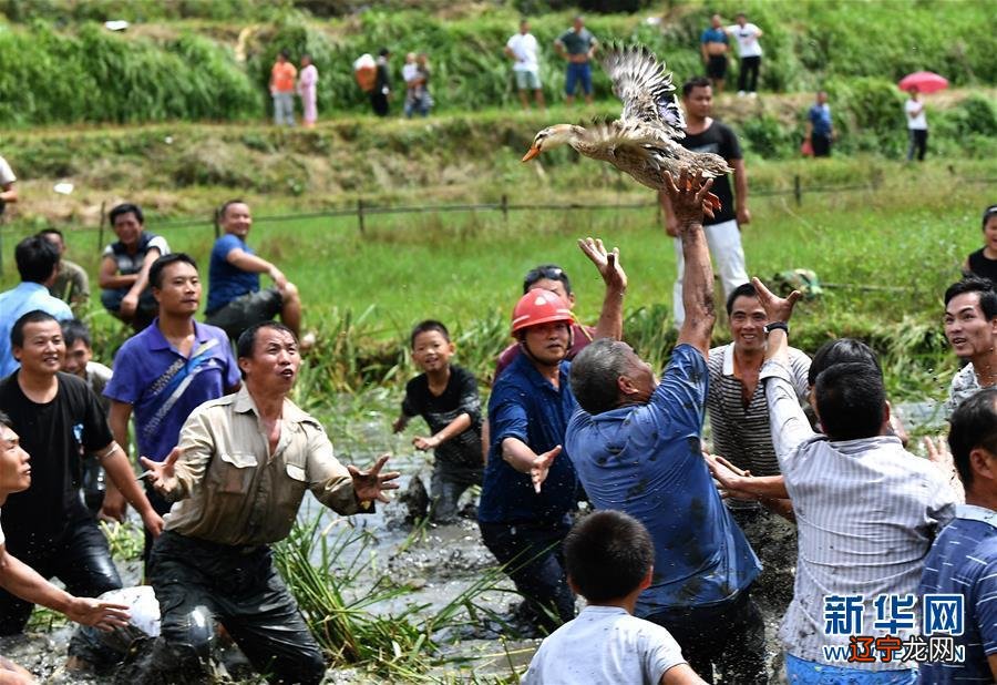 民风彪悍_民俗民风英语_北京民俗景区百花山民俗旅游景区