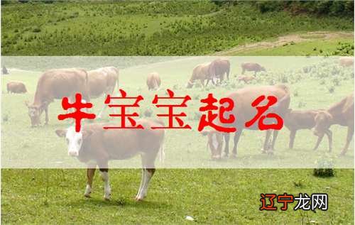 牛年出生的宝宝小名,你知道这是怎么回事和草字头的那个比较适合