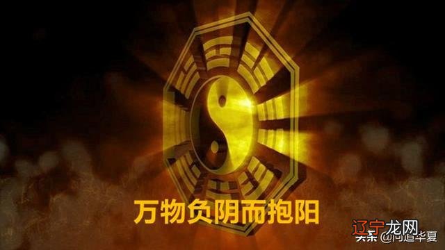 御女术之阴阳双修txt资源_那个数字是阴阳数_道法阴阳合于术数