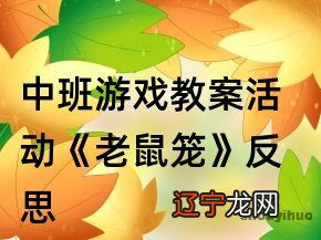 中班游戏教案活动《老鼠笼》反思