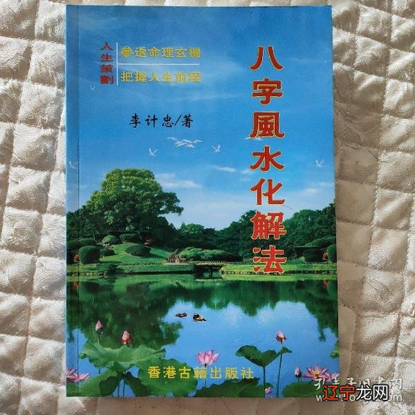 风水大师的八字_大师教你学风水 风水大师陈冠宇_术数大师,八字大师