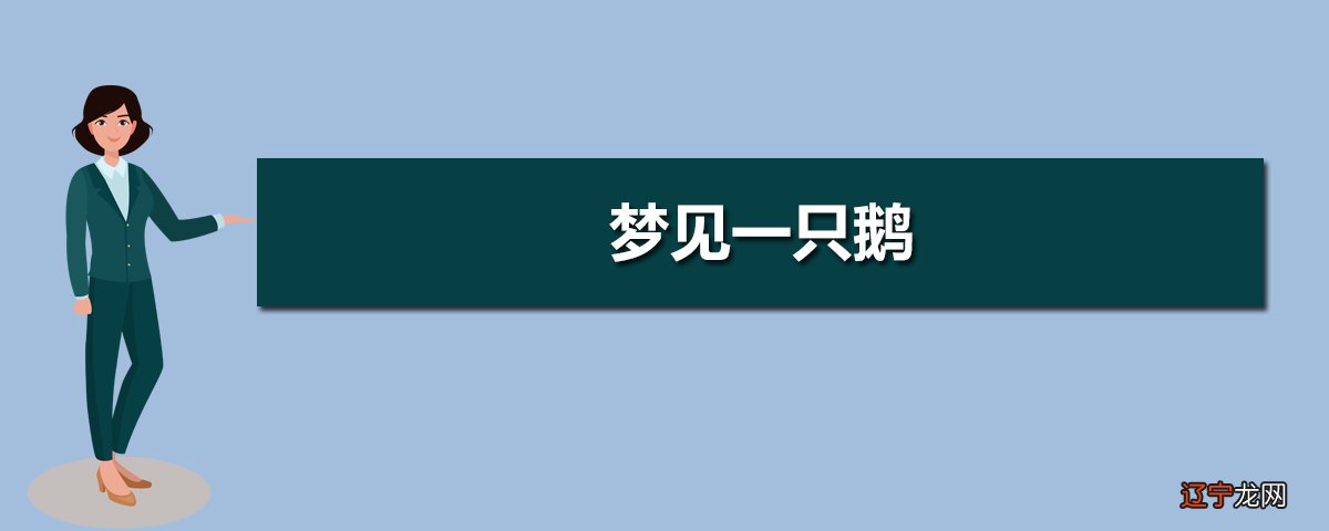 梦见白鹅是什么意思_梦见吃白鹅_梦见与白鹅嬉戏