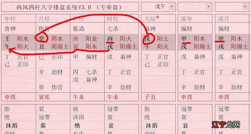 八字命理中伏吟是什么意思_伏吟是双胞胎_八字预测学八字命理 txt免费下载