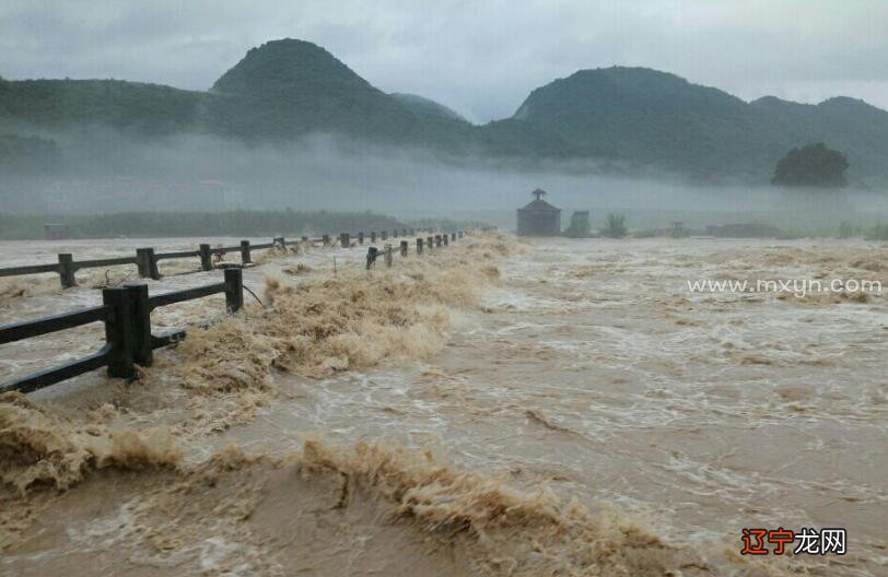 (梦见发大水_兰蔻大粉水好用还是小粉水_梦见下大雨发浑浊的水