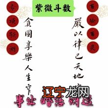 周易 紫薇 八字好学入门_周易五行八字查询表_周易八字命理快速入门