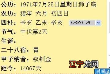 新派命理八字排盘软件_八字命理排盘分析_八字命理排盘下载软件