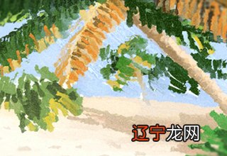 辅角插天骨的面相_天闻角川和台湾角川_刘涛面相颧骨插天