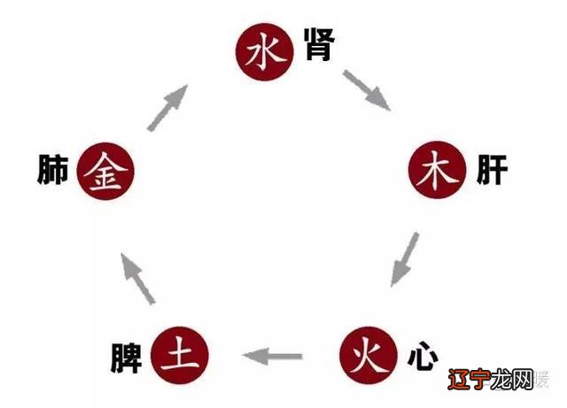 中医与术数_中医肾虚问诊话术_健康锦囊中医砭术腹部养生法