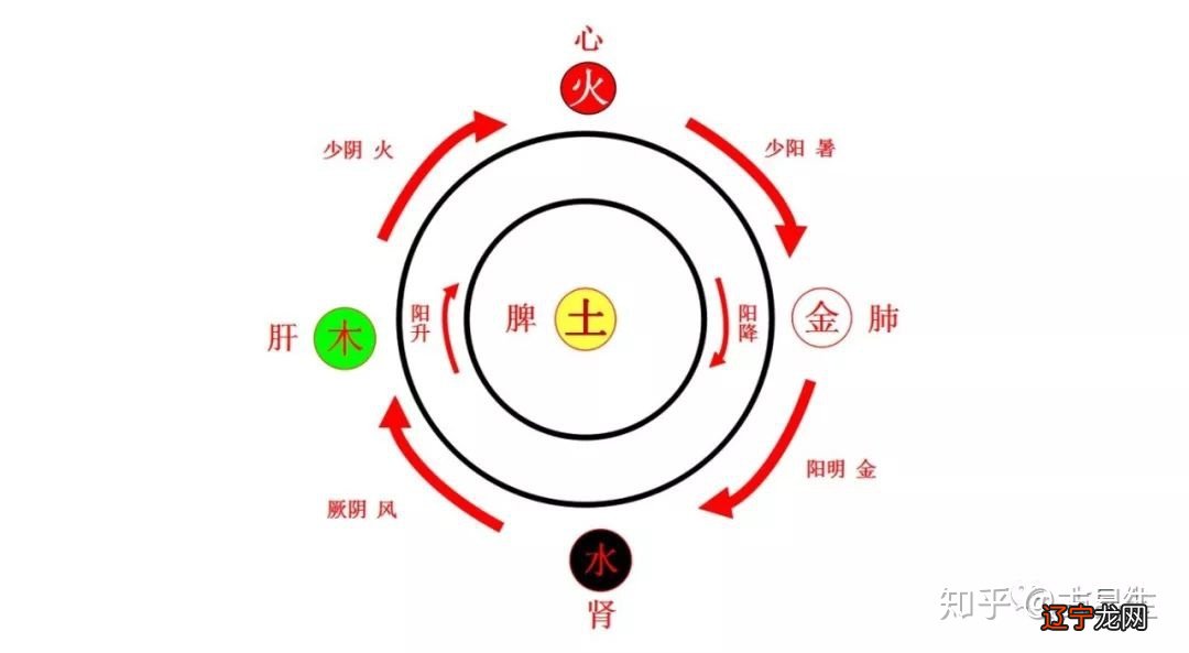 八字五行命理,命主福元查询_五行八字五格命理取名测试_八字命理五行看疾病