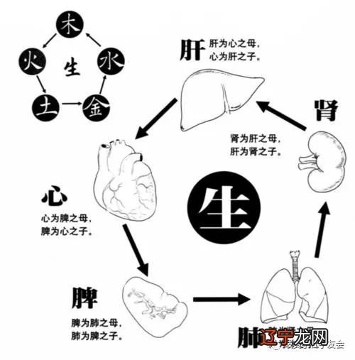 八字命理五行看疾病_五行八字五格命理取名测试_八字五行命理,命主福元查询