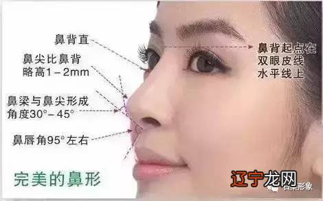 刘嘉玲鼻子相学_鼻子相学图解_相学女人最有福气的7种鼻子