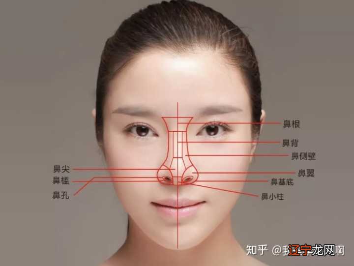 刘嘉玲鼻子相学_相学女人最有福气的7种鼻子_鼻子相学图解