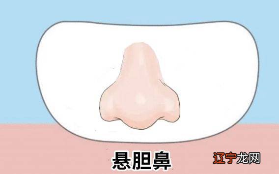 鼻子相学图解_相学女人最有福气的7种鼻子_刘嘉玲鼻子相学