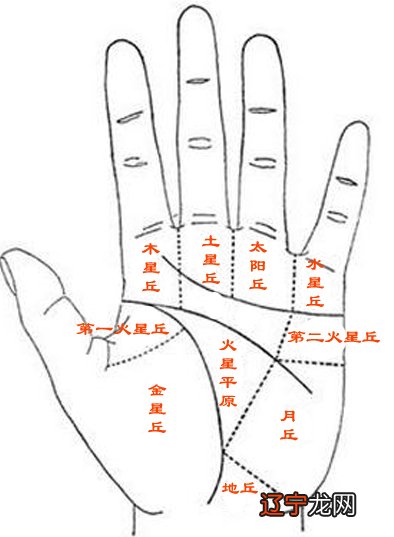 高振宗讲看手掌掌纹看健康_手掌看月份运势_10月份的生肖运势2015年运势