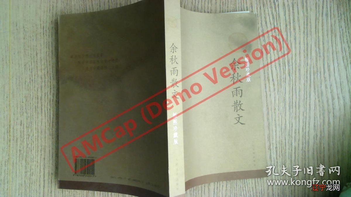 关键词:余秋雨:文化苦旅;文化内涵的执着追求与探索