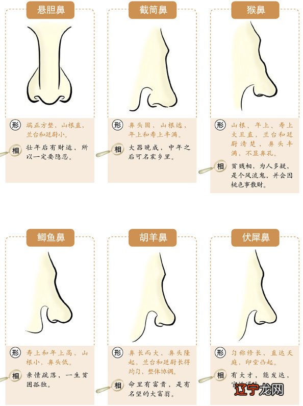 眼眉间距看运势_紫薇斗数看2017年运势_怎么根据星盘看运势