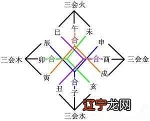 地支的三合、三会，哪个力量大？