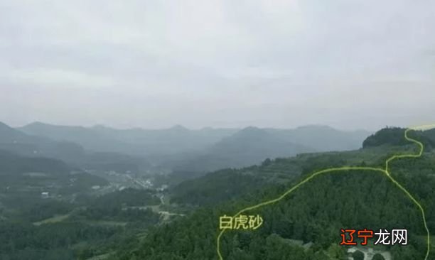 学看祖坟风水_阴阳风水学看墓地_请风水大师看祖先墓地