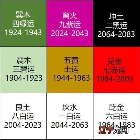 辛巳日主2019年运势_辛巳看一生运势_辛巳日柱看另一半相貌