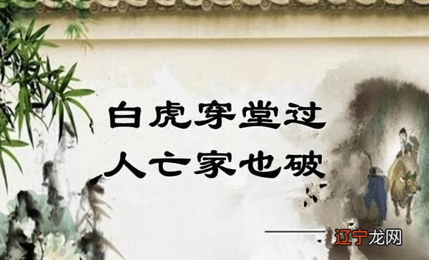 风水学 青龙 这句话的真正含义,几乎是不可能的事!