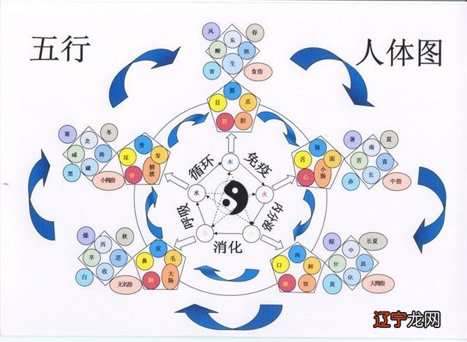 日柱看2016年运势_大六壬看运势_辩证看3岁看大7岁看老