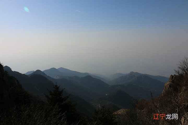 梦见山上有很多枯树_梦见很多西瓜有生有熟_梦见很多坟上冒烟