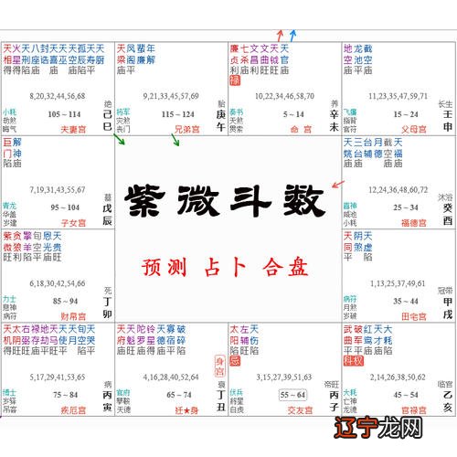 2016年10月23日 紫薇斗数命盘解析运势