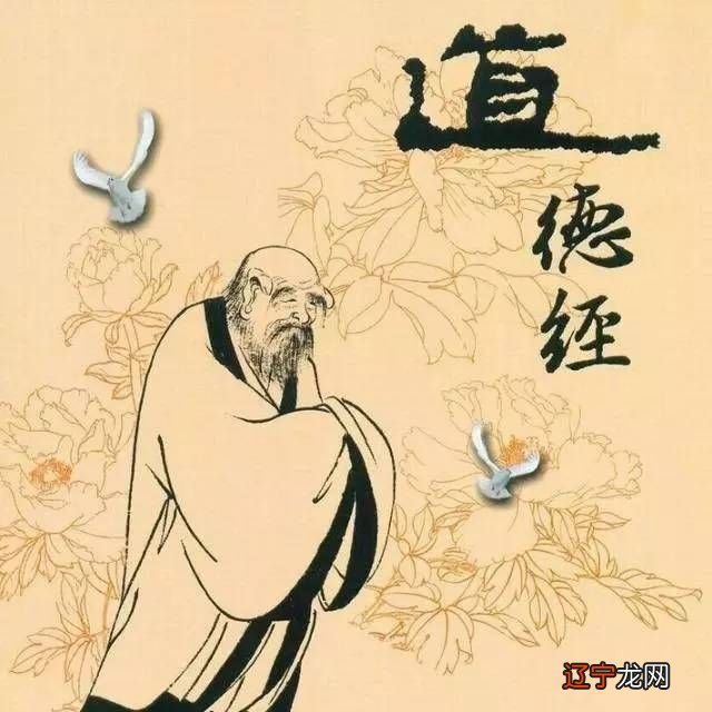 杨鹤明251数易经宝鉴在线测算_易经 象数 入门书籍_易经里的术数是什么