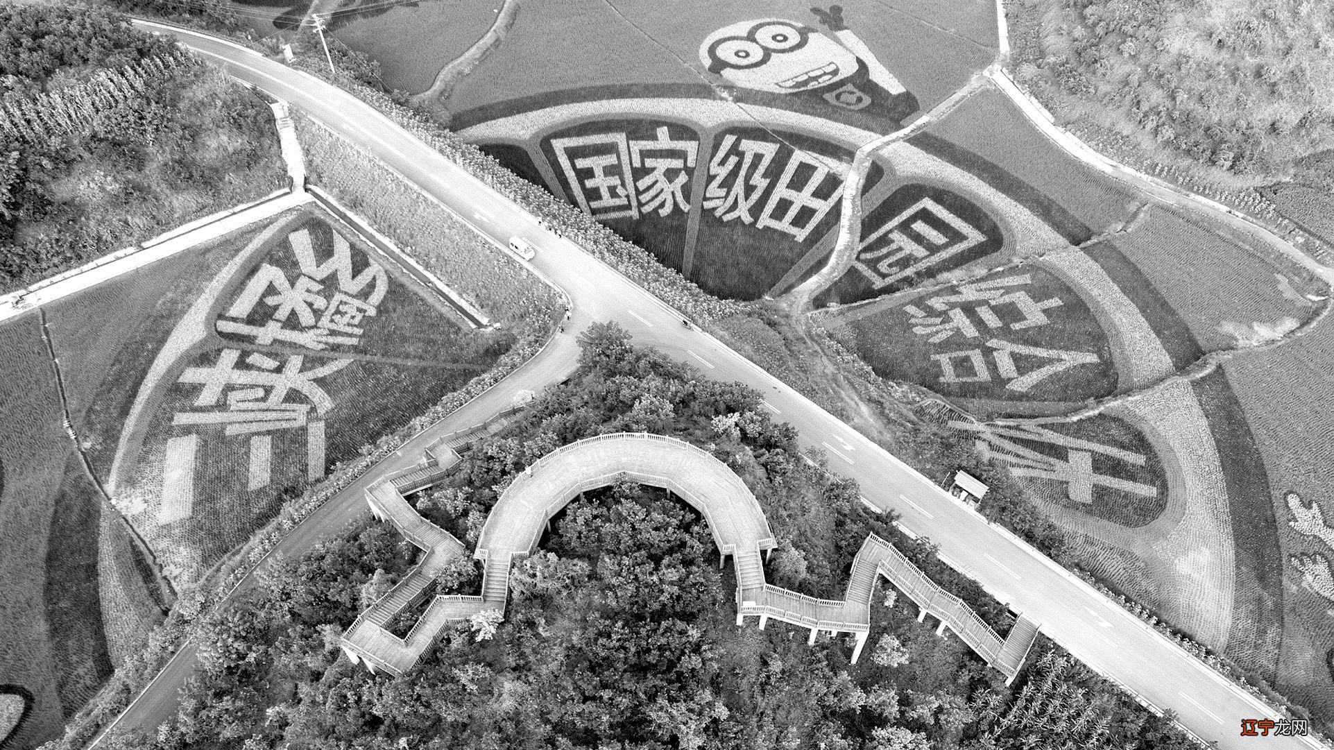 俯瞰新立柑橘特色小镇 重庆市忠县文化和旅游发展委员会 供图
