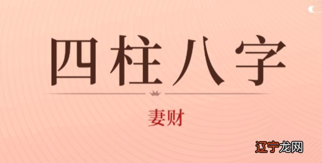 八字命理是怎么来的_陈晓杨蓉八字命理_八字预测学八字命理 txt免费下载