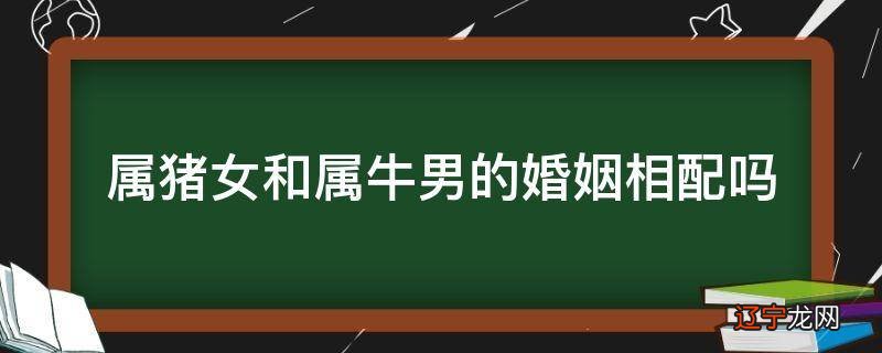 八字配对姻缘合婚_十二生肖配对姻缘合婚表_十二生肖配对姻缘合婚狗配牛