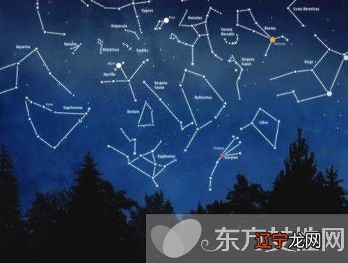 水象星座和哪些星座合得来星座的人注重情感？