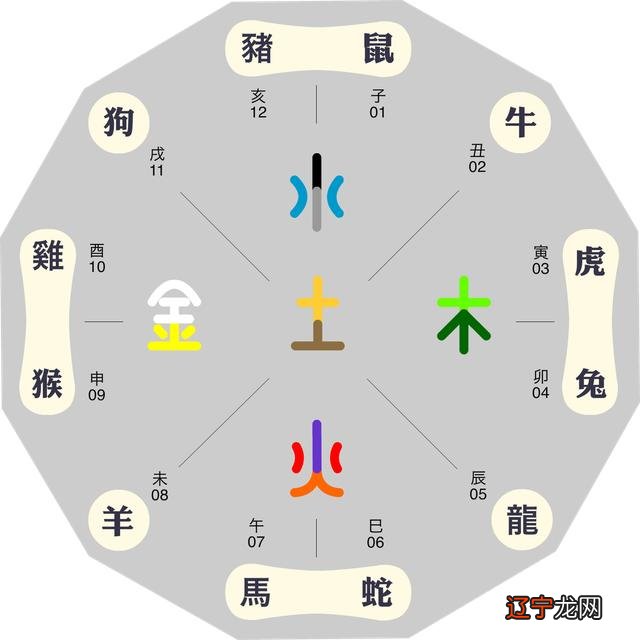 2019年属猪的五行属什么生肖_今年猪年五行属什么_今年73岁五行属什么生肖