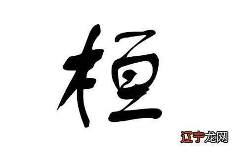 草字头男孩儿名字_草字头的男孩名字_带草字头的男孩名字大全