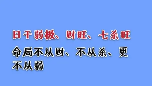 八字命理排盘_新派命理八字排盘_盲派命理八字排盘软件