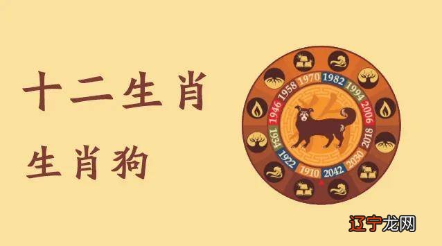 1981年出生属什么生肖_1981年59岁的人属什么生肖_2012年9月9人是属什么生肖