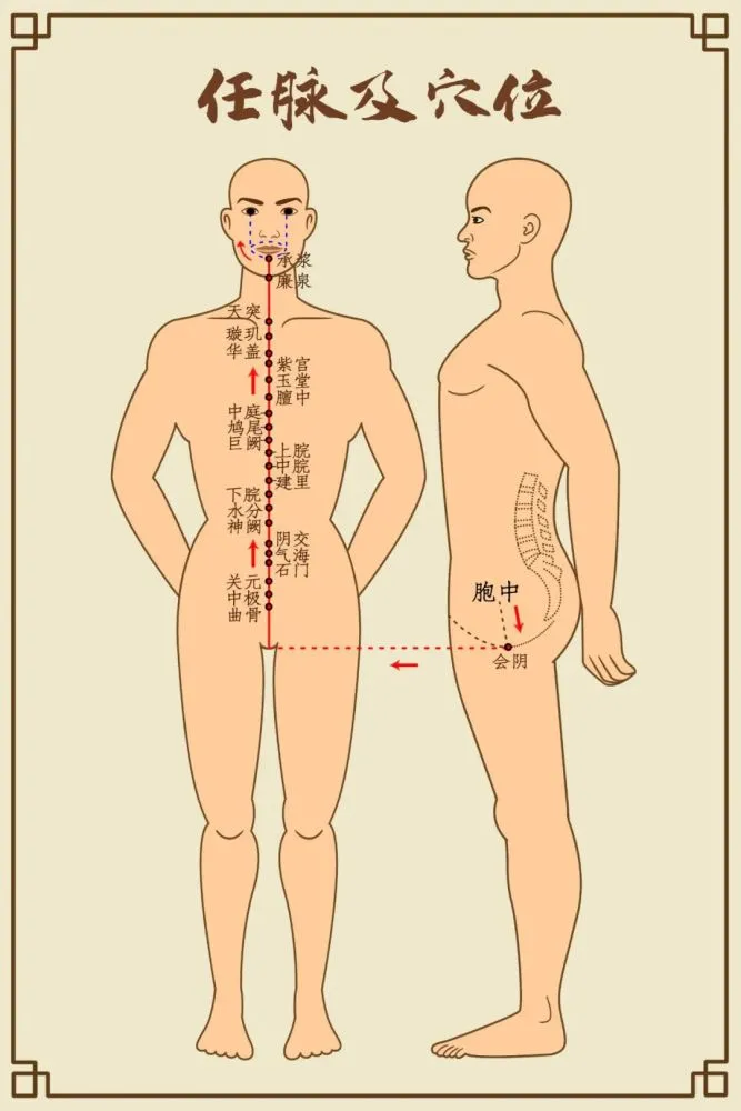 阴阳术_黄帝得三芝图跨龙术吗_黄帝内经 法于阴阳和于术数