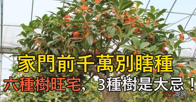 学风水_怀孕风水学_如何看房子风水是不适合怀孕