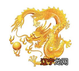 生肖流年运势好不好怎么看_2015生肖兔流年运势_2020紫微斗数看流年运势