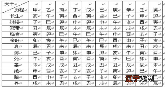 2020年属猪运程八字算命十年运程81年出生的人在年运气如