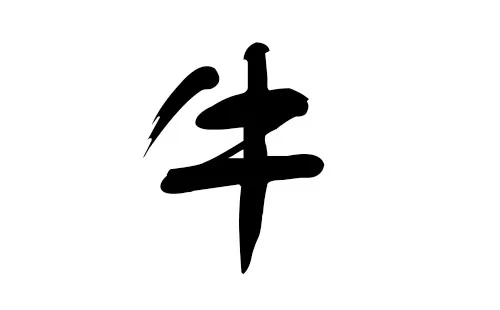 虎年起名大全男孩名字：虎年男孩起名字大全