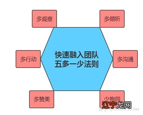 职场新人如何调整心态以适应新的工作环境呢？